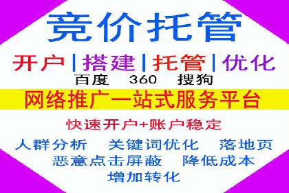 探索SEM服务托管的未来趋势及发展案例